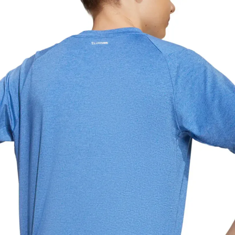 Camiseta All Sports Favorite