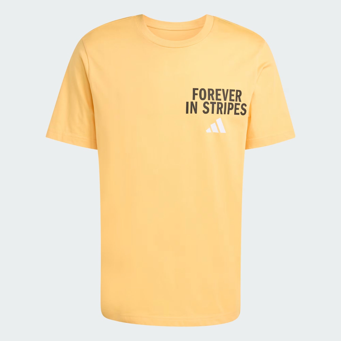 POLO GRAPHIC FOREVER IN STRIPES