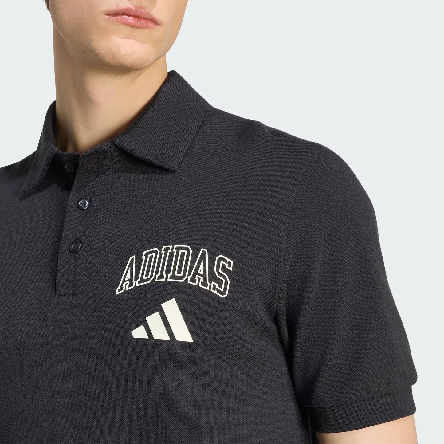 Polo con Cuello Seasonal Essentials Collegiate Algodón
