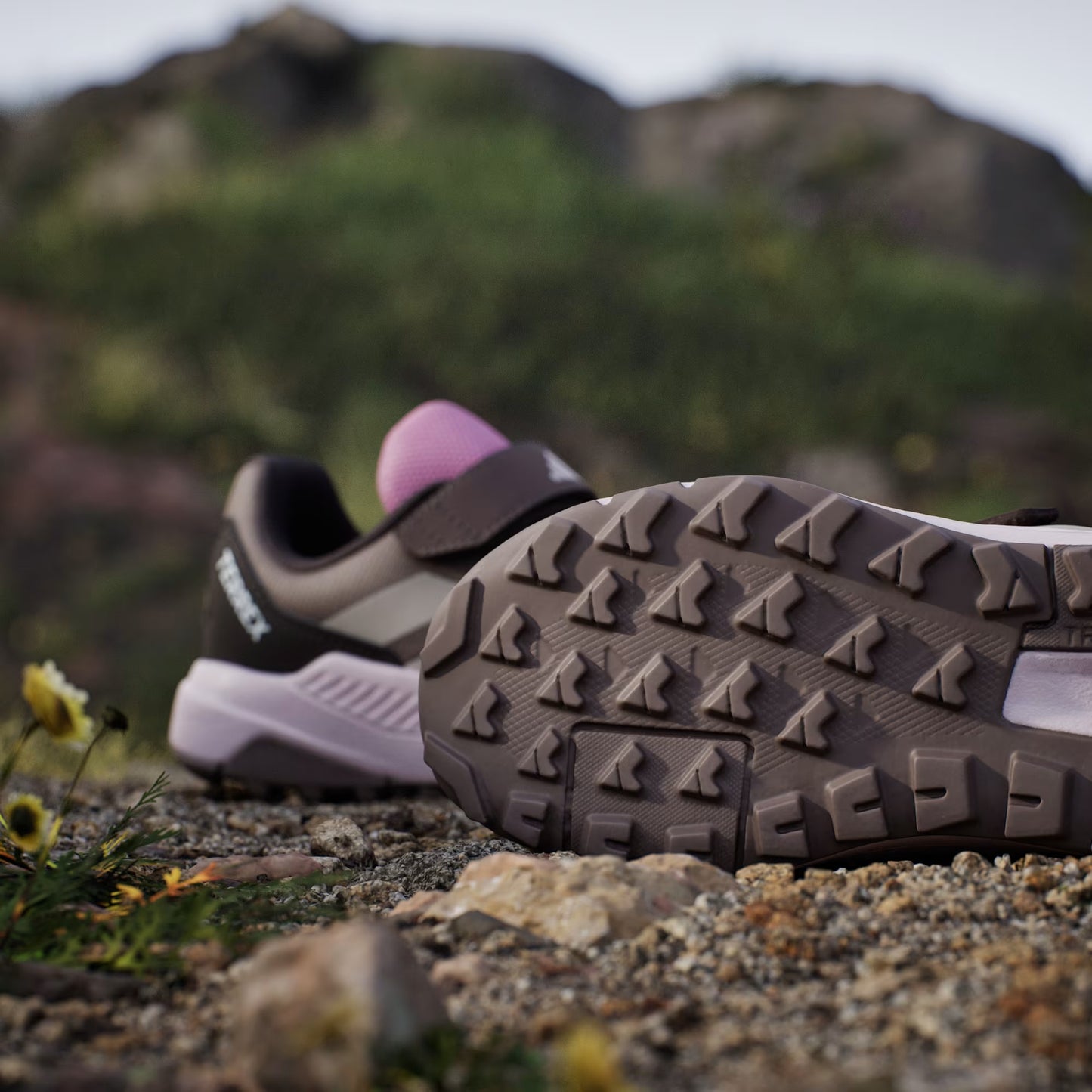 Zapatillas de Senderismo Terrex Anylander Niños