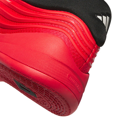 Zapatillas DAME X