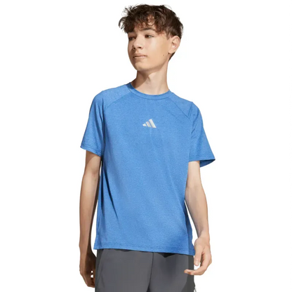 Camiseta All Sports Favorite