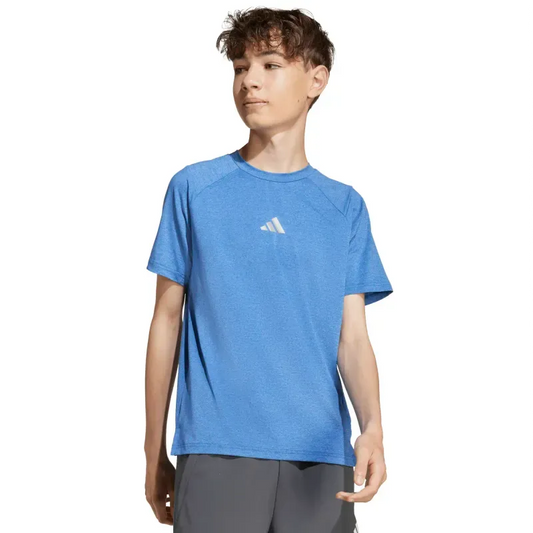 Camiseta All Sports Favorite