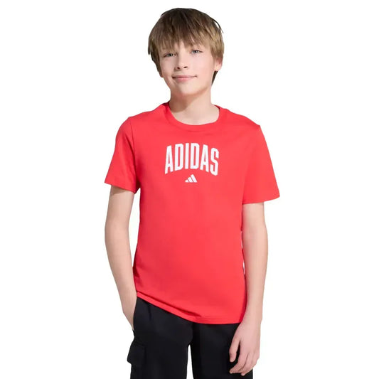 Playera Graphic universitaria para niños