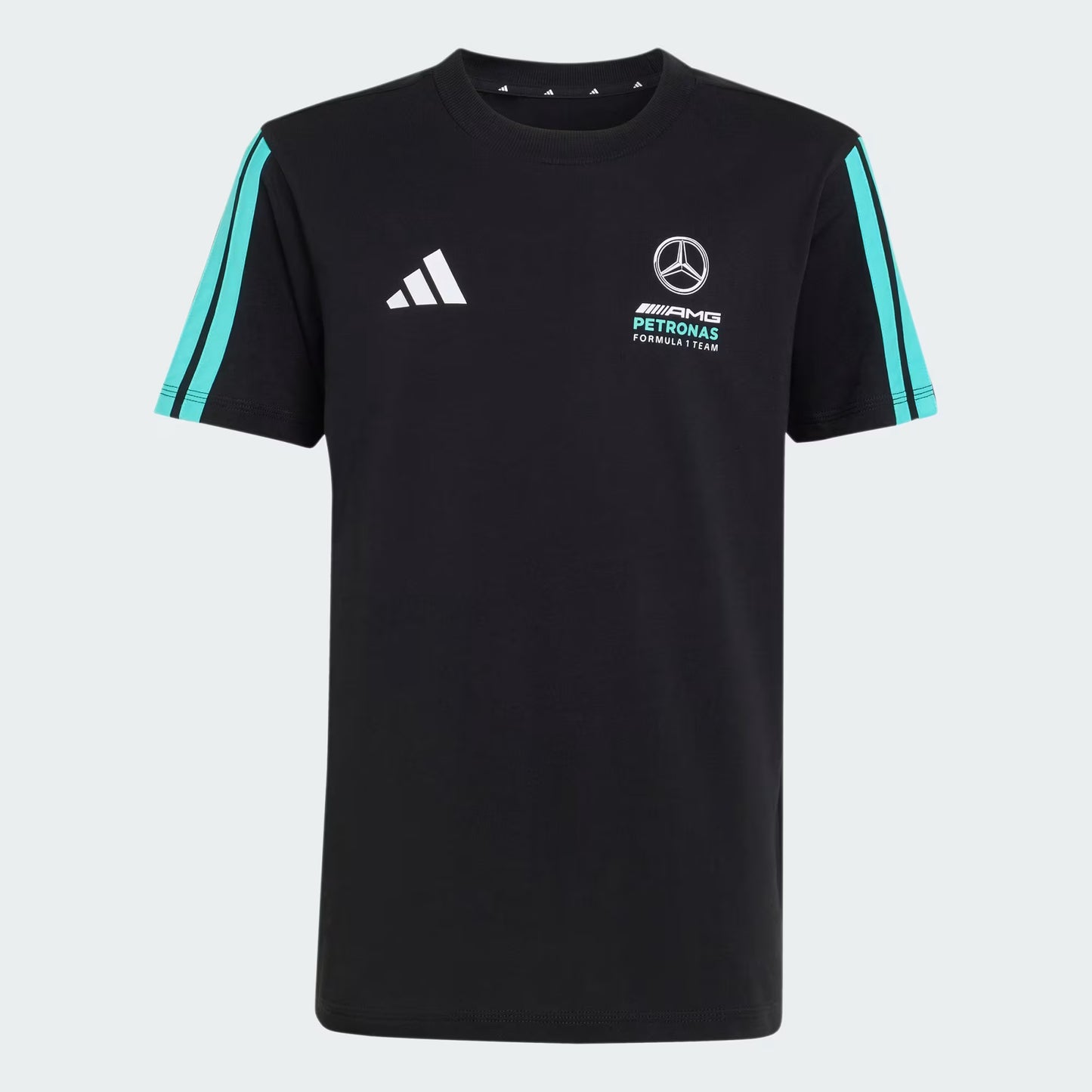 CAMISETA DNA MERCEDES - AMG PETRONAS F1 TEAM
