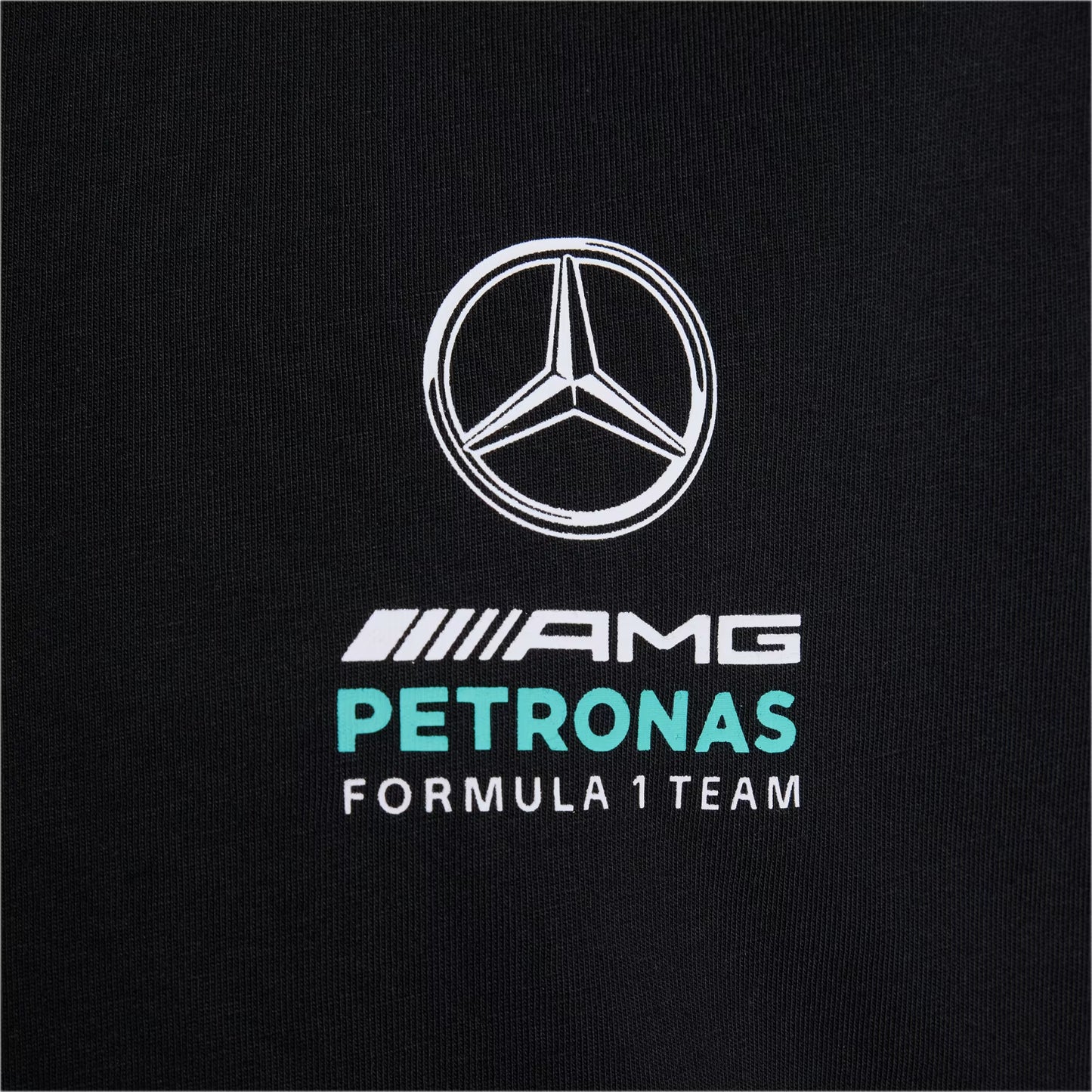 CAMISETA DNA MERCEDES - AMG PETRONAS F1 TEAM