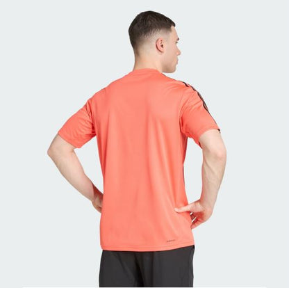 Polo Train Essentials 3-Stripes