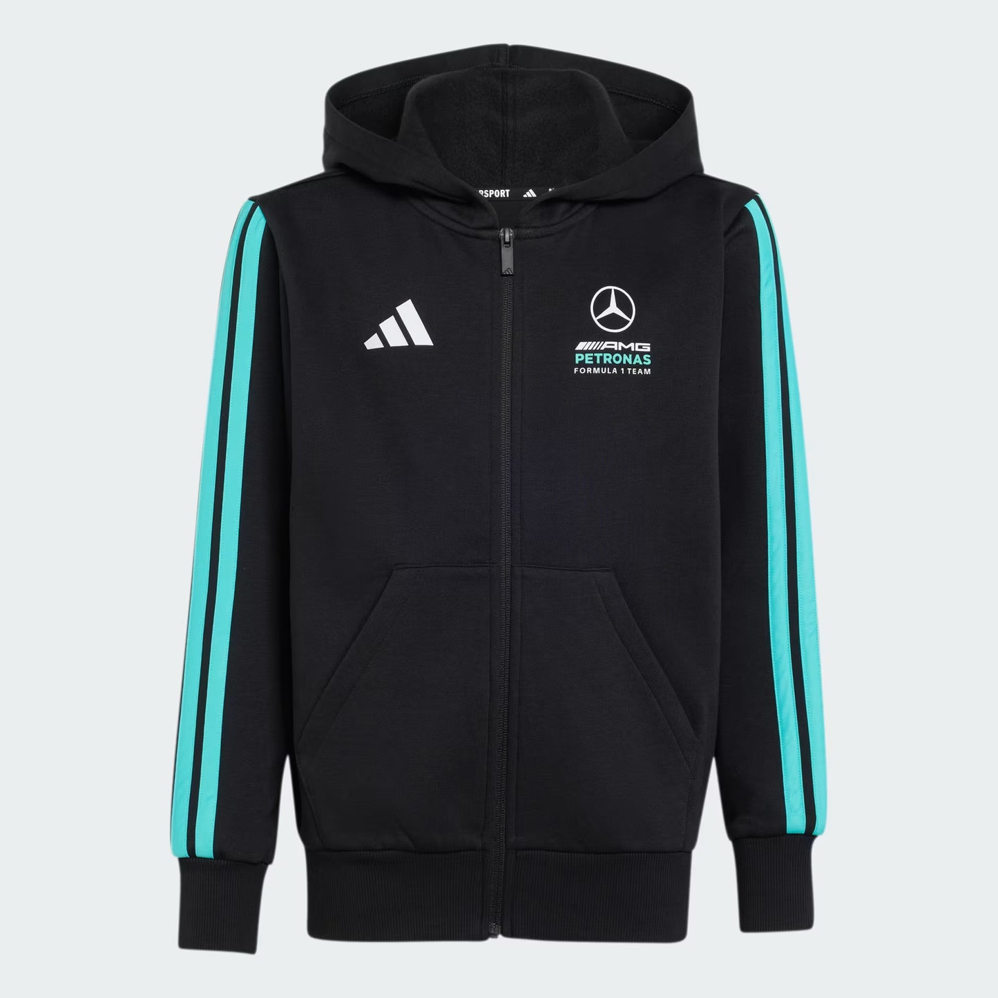 Sudadera con capucha y cremallera completa MERCEDES - AMG PETRONAS FORMULA 1 TEAM DNA