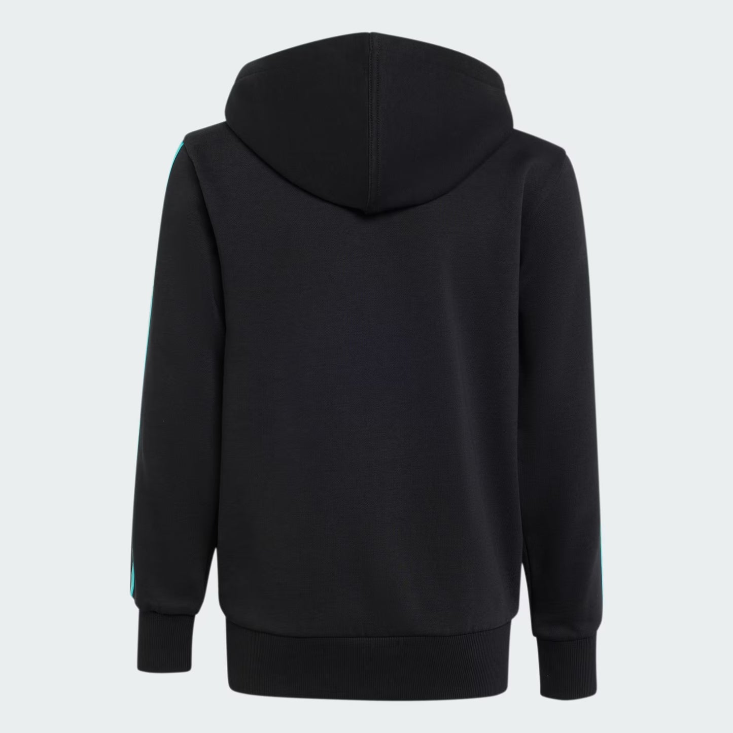 Sudadera con capucha y cremallera completa MERCEDES - AMG PETRONAS FORMULA 1 TEAM DNA