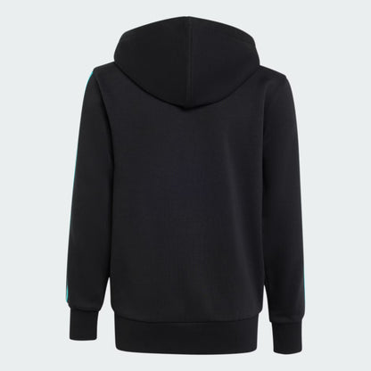Sudadera con capucha y cremallera completa MERCEDES - AMG PETRONAS FORMULA 1 TEAM DNA