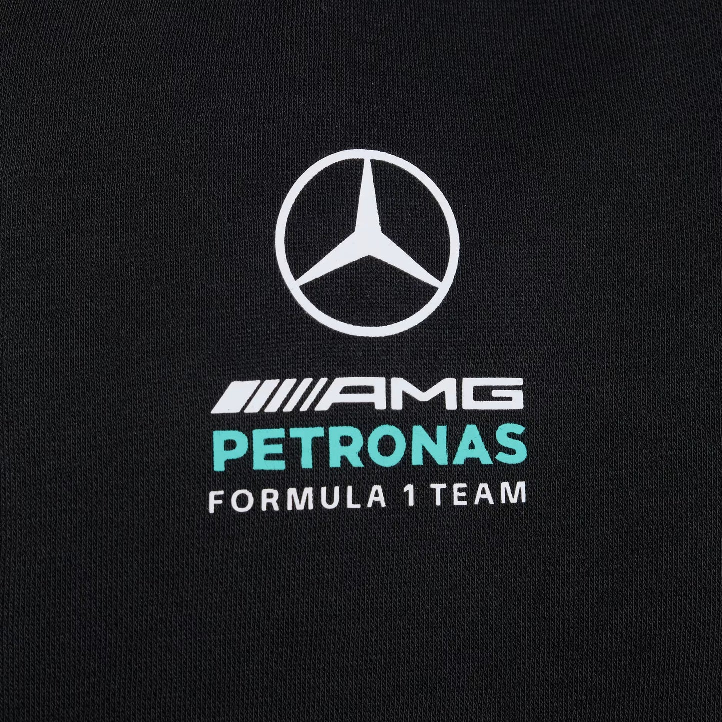 Sudadera con capucha y cremallera completa MERCEDES - AMG PETRONAS FORMULA 1 TEAM DNA