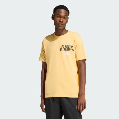 POLO GRAPHIC FOREVER IN STRIPES