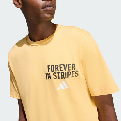 POLO GRAPHIC FOREVER IN STRIPES