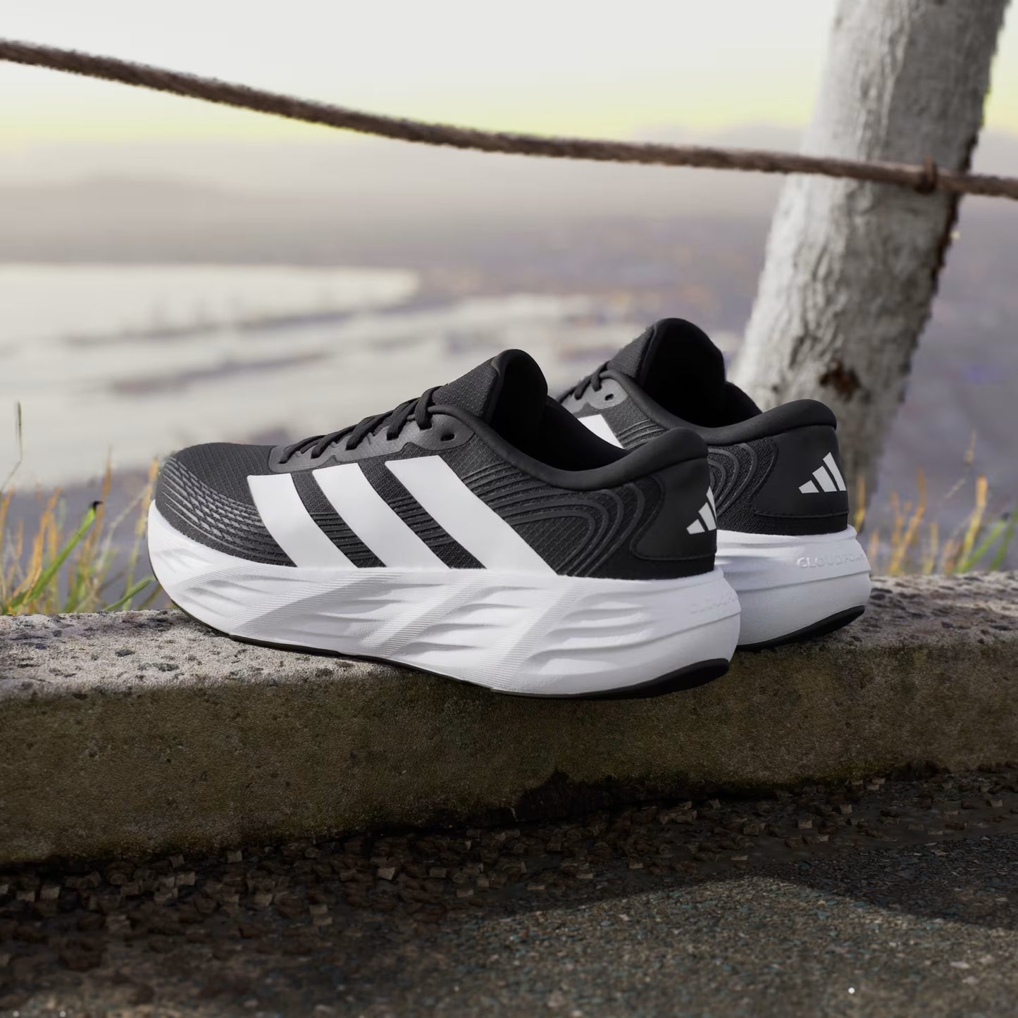 Zapatillas de Running Galaxy 8