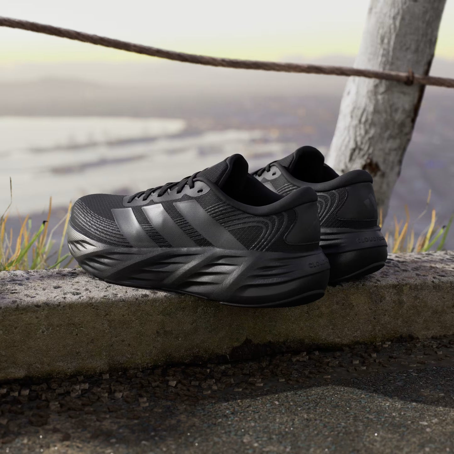 Zapatillas de Running Galaxy 8