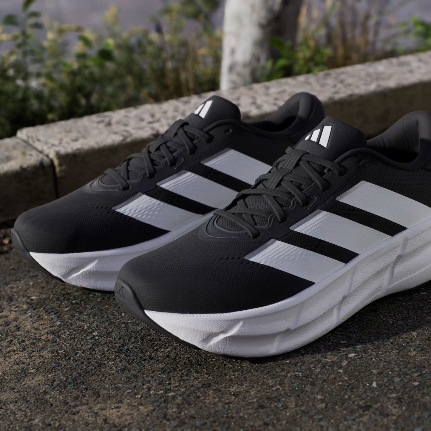 Zapatillas de Running Questar 4