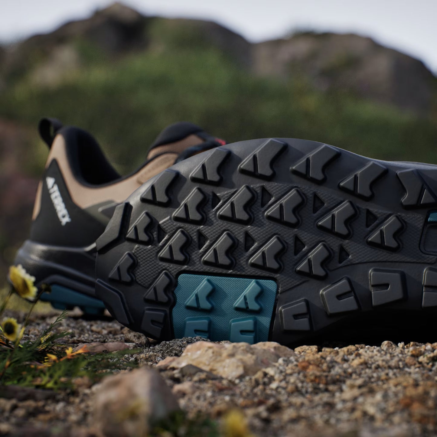 Zapatillas de Senderismo Terrex Anylander