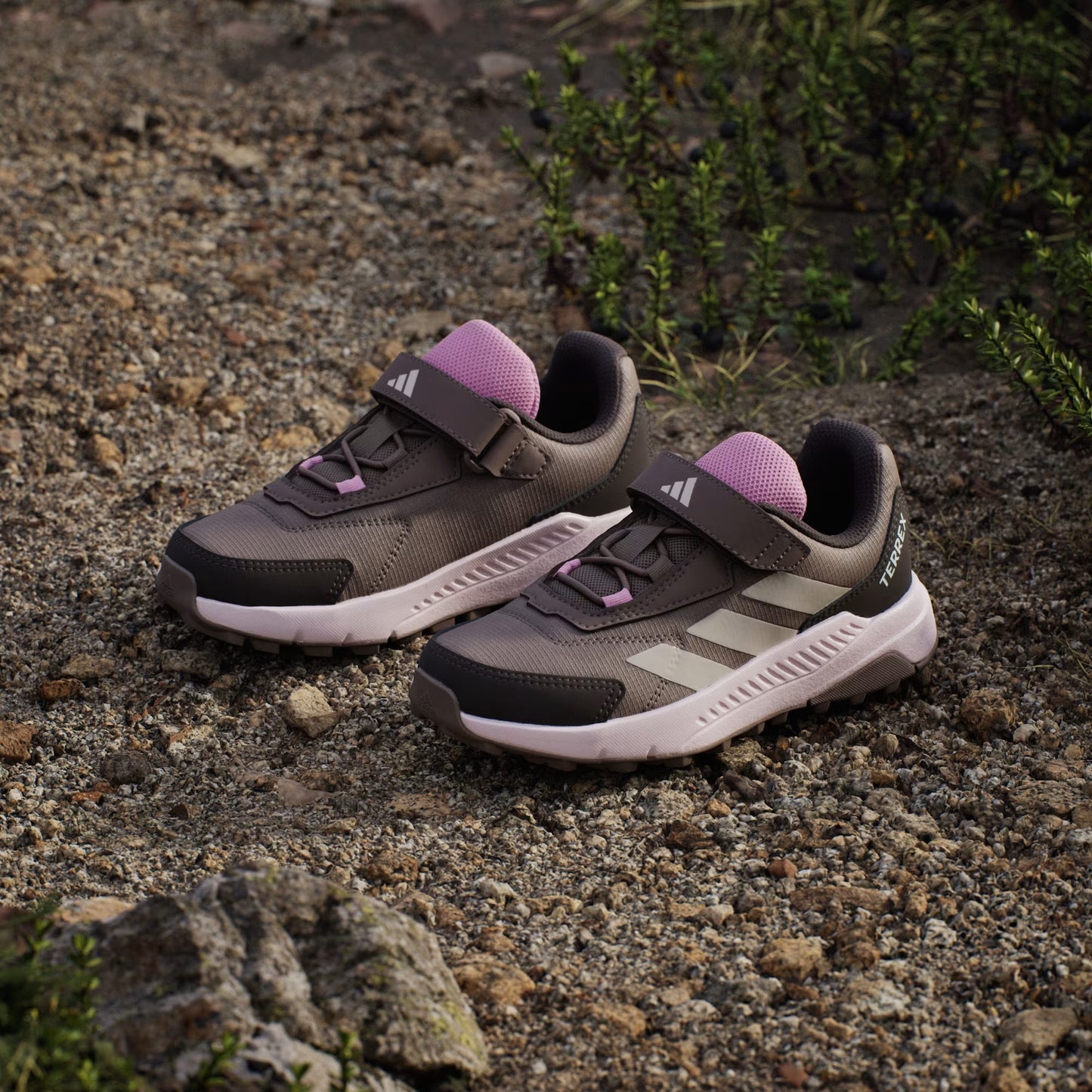 Zapatillas de Senderismo Terrex Anylander Niños