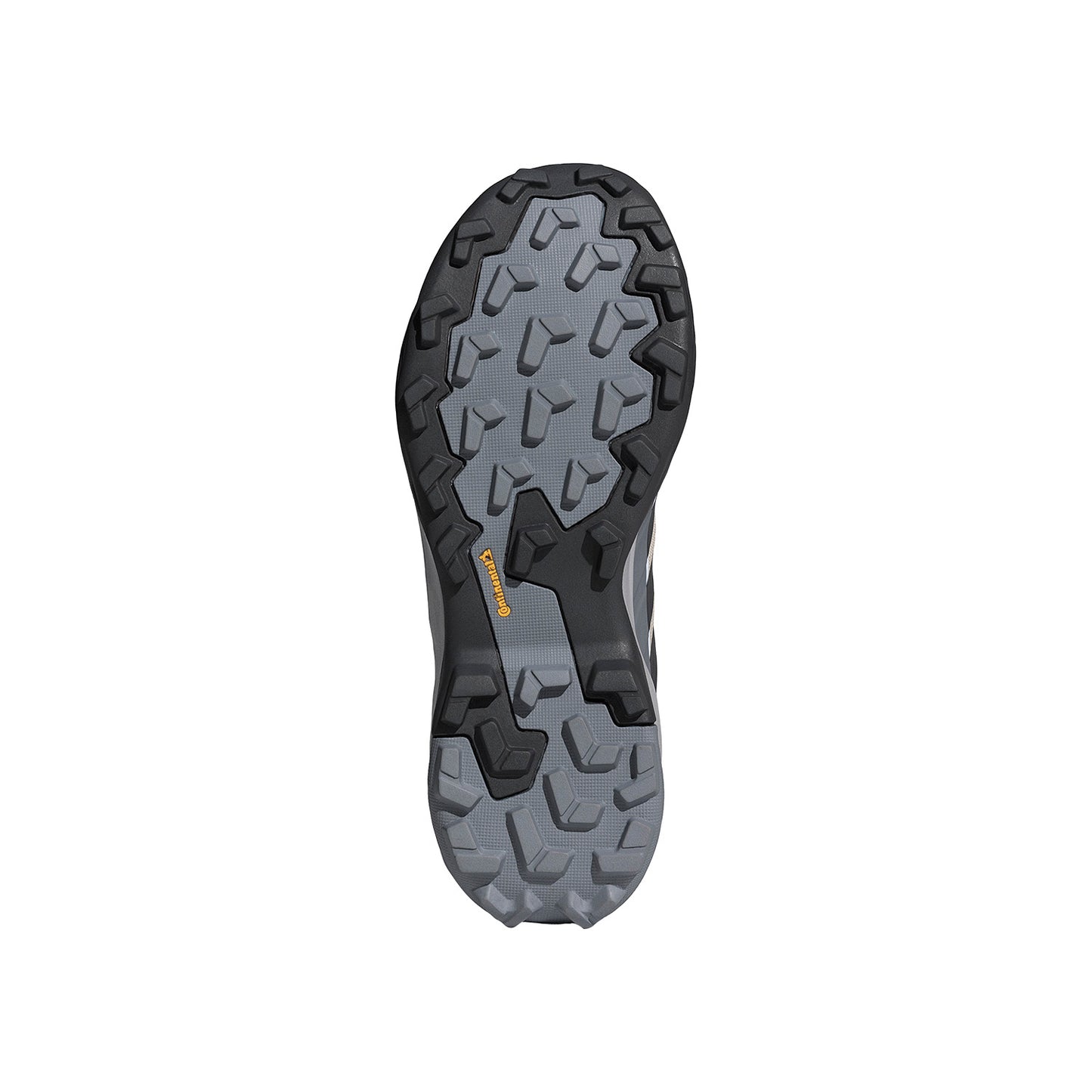 Zapatos de Senderismo Terrex Skychaser Ax5